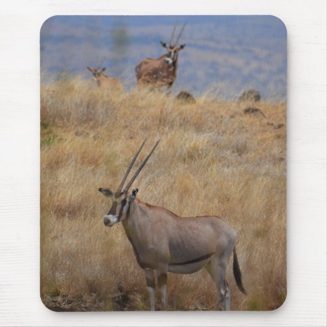 Oryx in Afrika Mousepad (Vorne)
