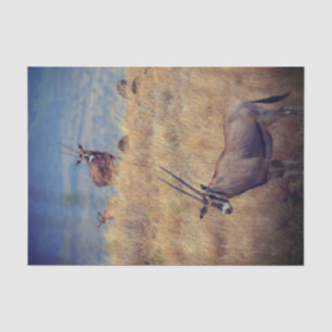 Oryx in Afrika Seidenpapier