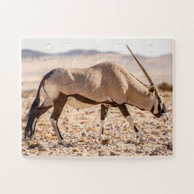 Oryx in der Wüste (Horizontal)