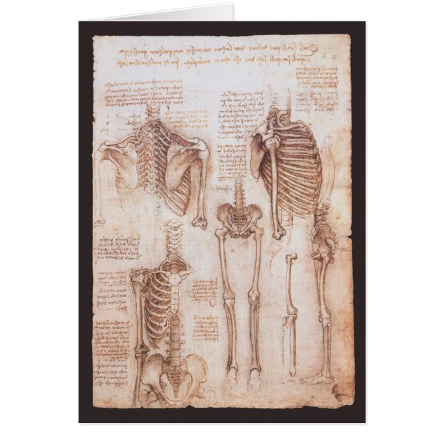 Os de squelette de Léonard de Vinci, anatomie huma (Devant)