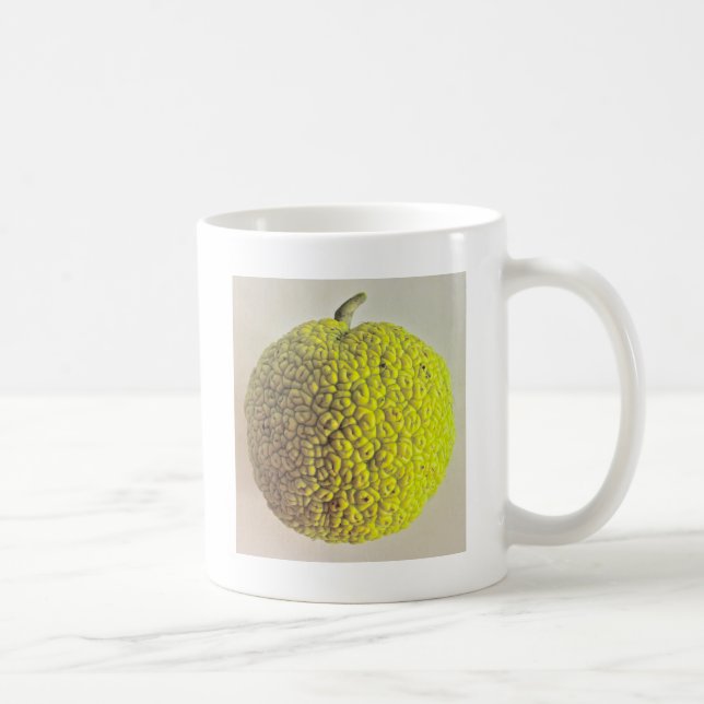 Osage-Orange Kaffeetasse (Rechts)