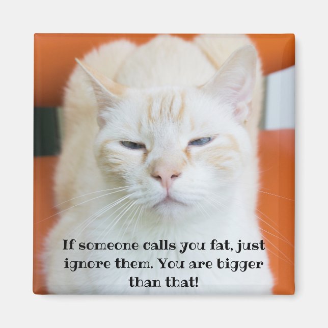 Oscar die beleibliche Katze Magnet (Vorne)