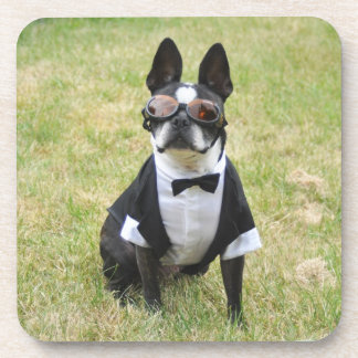 Oscar die Boston-Terriertuxedo-Untersetzer Getränkeuntersetzer