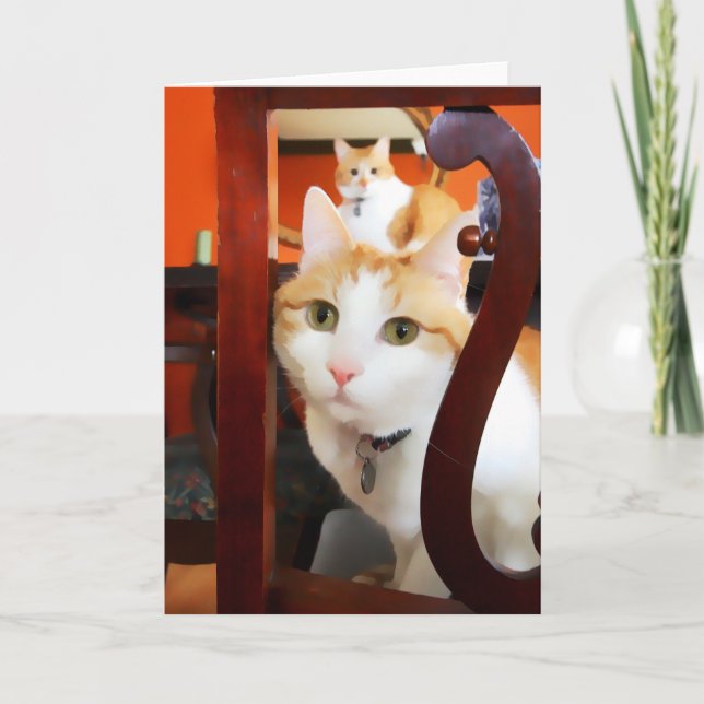 OSCAR & ERNIE heARTcats Karte (Vorderseite)