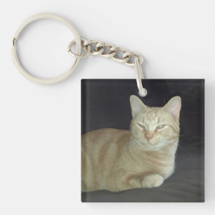 Oscar-Katzen-Porträt-Schlüsselanhänger Schlüsselanhänger