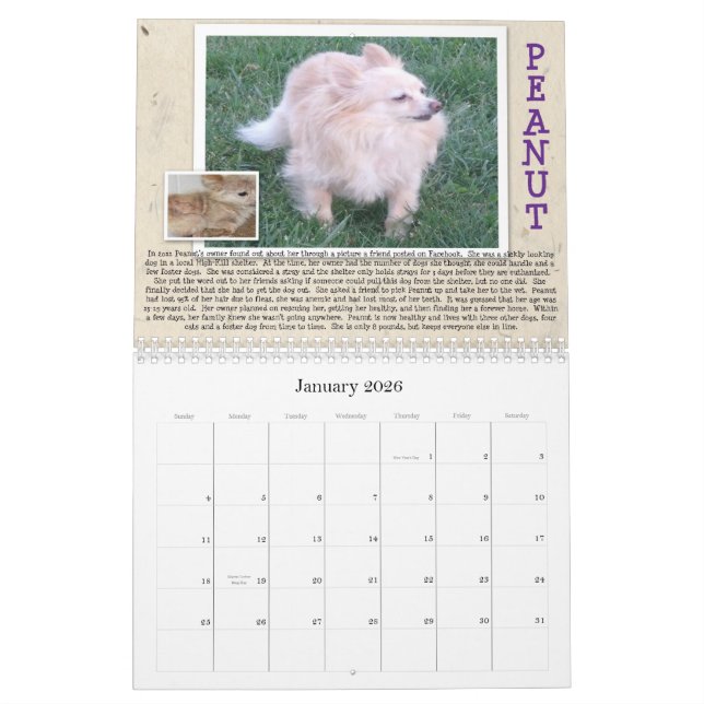 Oscars Rettungs-Hundekalender Kalender (Jan 2026)