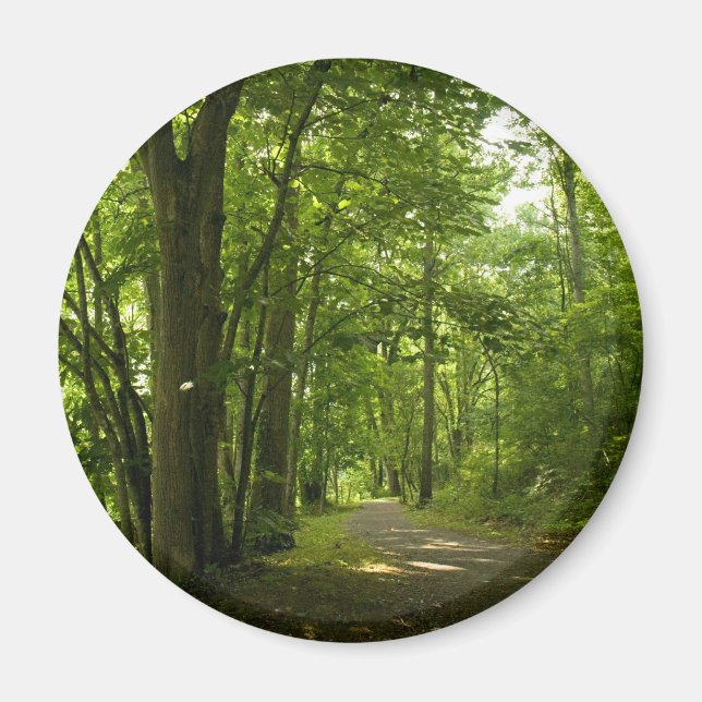 Osceloa Island Weir Dam Bristol Tennessee Magnet (Vorne)