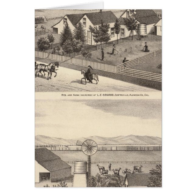 Osgood, Cameron résidences, fermes (Devant)