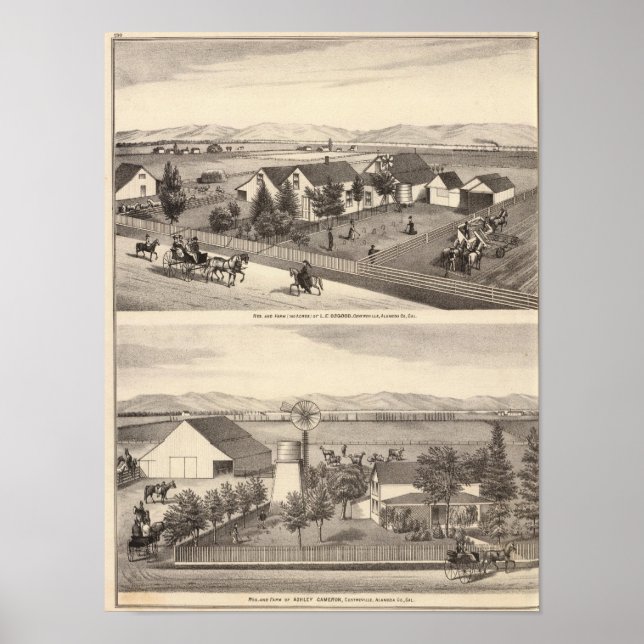 Osgood, Cameron Residenzen, Farmen Poster (Vorne)