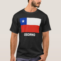 Osorno Republica Chile Flaggenemblem Escudo Bander