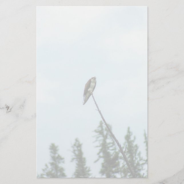 Osprey 9028 briefpapier (Vorderseite)