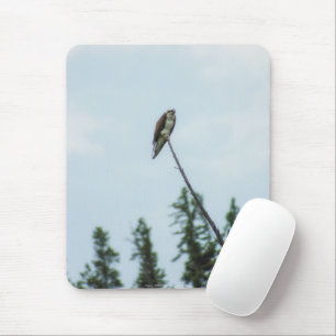 Osprey 9028 mousepad