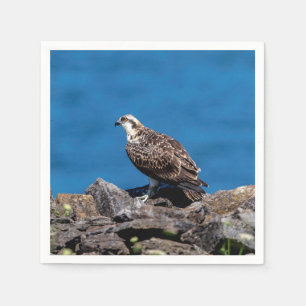 Osprey auf den Felsen Serviette