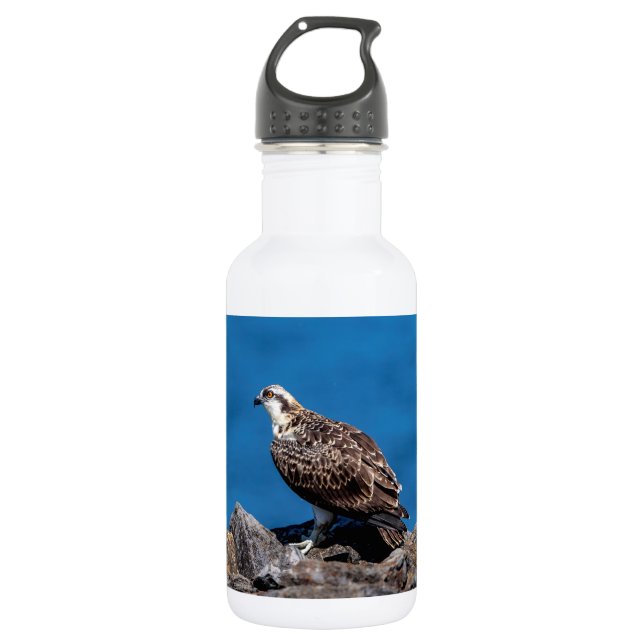 Osprey auf den Felsen Trinkflasche (Vorderseite)