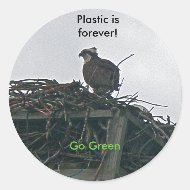 Osprey auf Nestplastik ist für immer Grün Aufklebe Runder Aufkleber (Vorderseite)