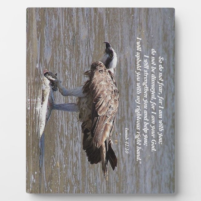 Osprey Bird Fish Wildlife Isaiah Plaque photo (Devant)