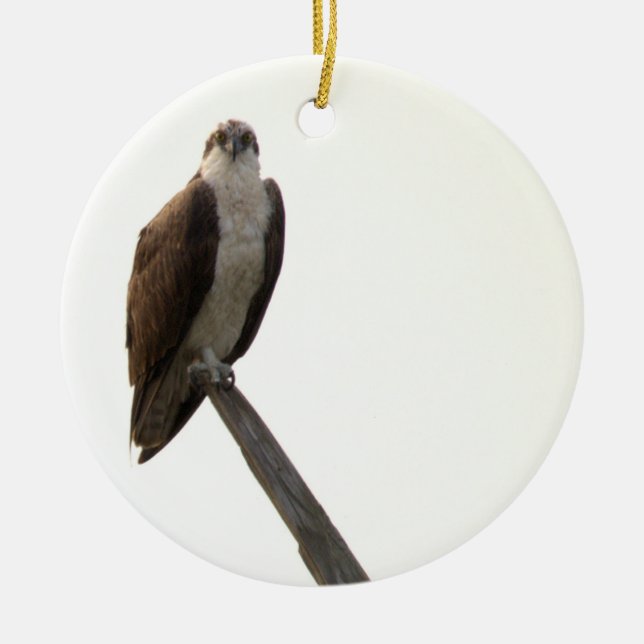 Osprey Bird Ornament  (Vorne)