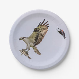 Osprey, der durch eine rotgeflügelte Amsel gejagt Pappteller