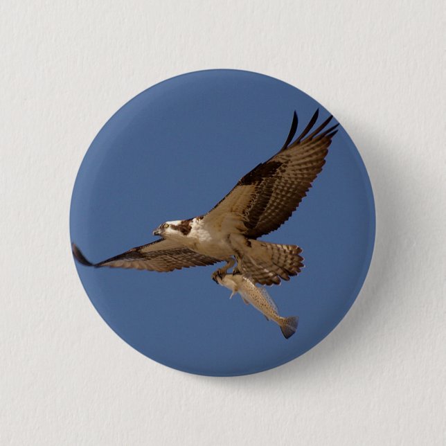 Osprey Fisher Button (Vorderseite)
