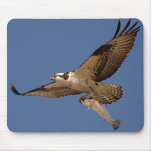 Osprey Fisher Mousepad