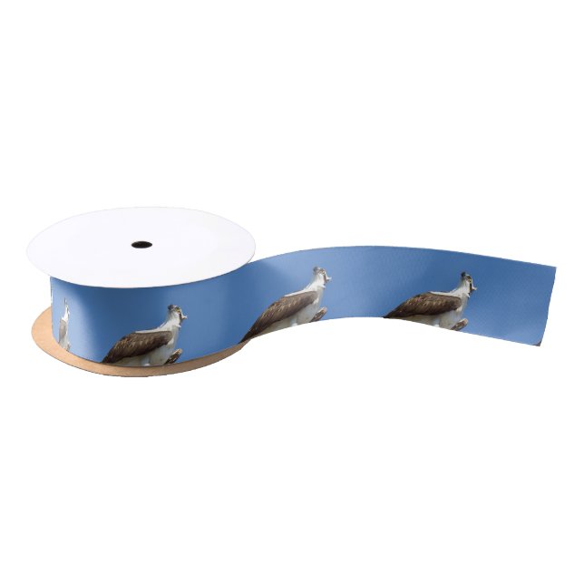 Osprey Hawk bird Ribbon Spool Satinband (Spule)