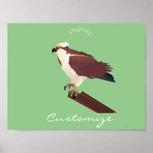 Osprey Hawk Raptor Thunder_Cove Poster