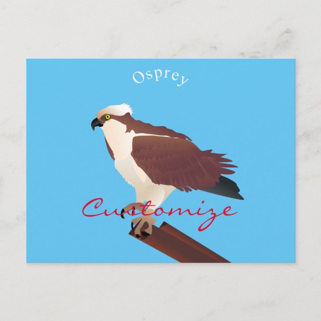 Osprey Hawk Raptor Thunder_Cove Postkarte (Vorderseite)