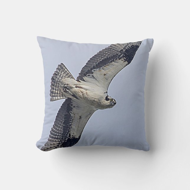 Osprey im Flug Kissen (Vorderseite)