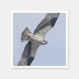 Osprey im Flug Serviette
