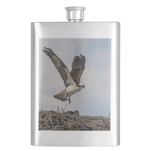 Osprey in einem Nest Flachmann (Vorderseite)