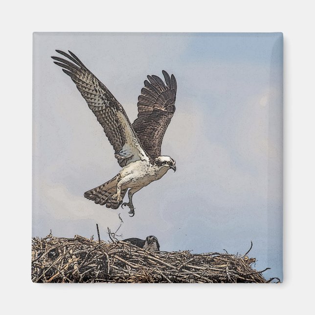 Osprey in einem Nest Magnet (Vorne)