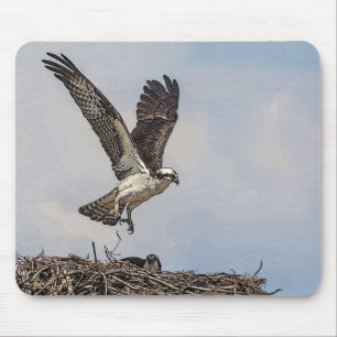 Osprey in einem Nest Mousepad
