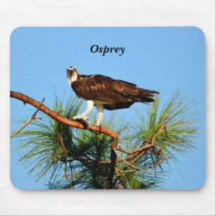 Osprey in freier Wildbahn Mousepad