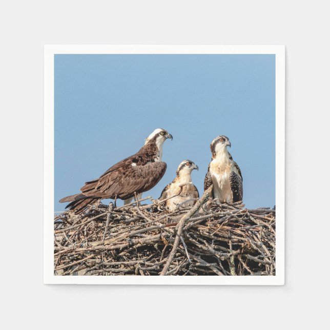 Osprey Mama mit ihren Kindern Serviette (Vorderseite)