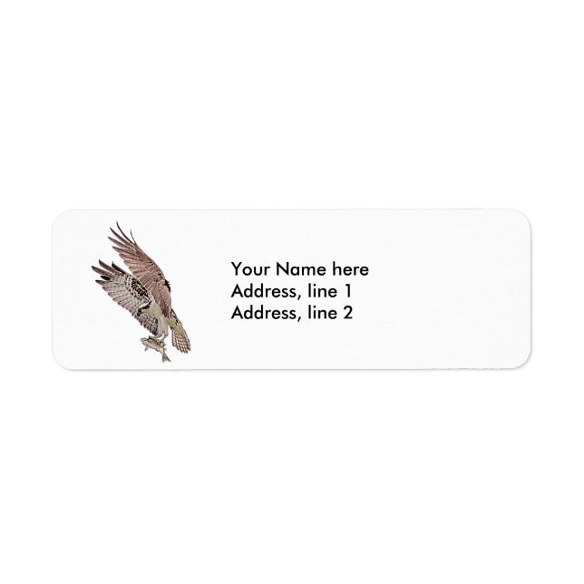 Osprey mit Fisch (Vorne)