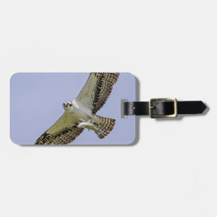 Osprey mit Fisch Gepäckanhänger