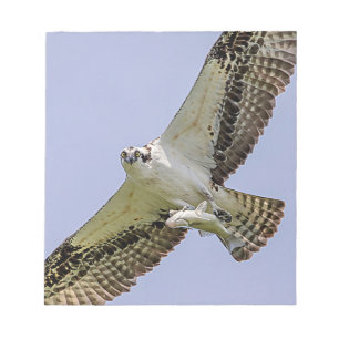 Osprey mit Fisch Notizblock