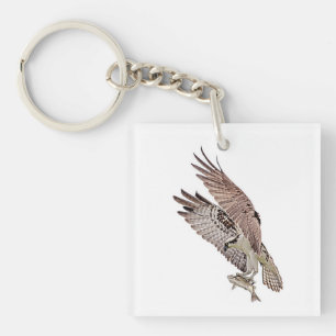 Osprey mit Fisch Schlüsselanhänger