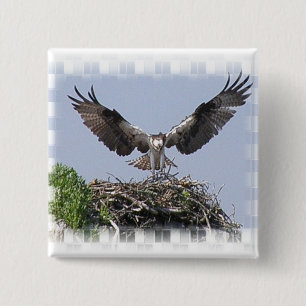 Osprey-Nest-Button Button