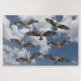 Osprey-Parade am Himmel