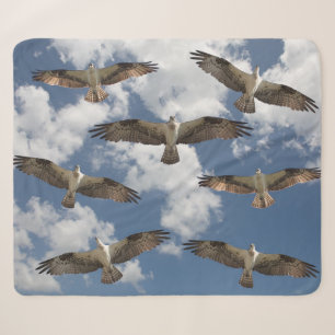 Osprey-Parade im Himmel Sherpa-Vlies-Decke Sherpadecke