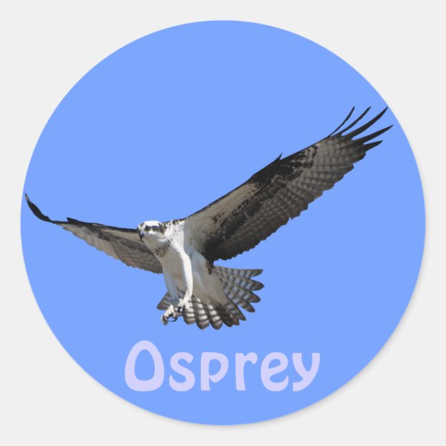 Osprey Raptor Birdlover's Wildlife Sticker (Vorderseite)
