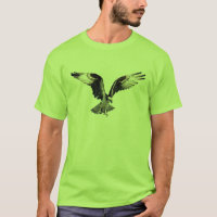 Osprey