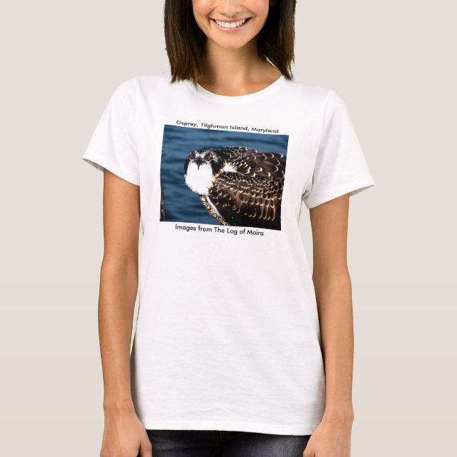 Osprey, Tilghman Insel, Hartriegel-Hafen, Maryland T-Shirt (Vorderseite)