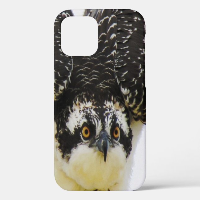 Osprey Up Close - iPhone 12 Coque dur (Verso)
