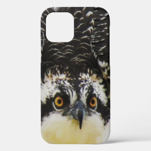 Osprey Up Nah - iPhone 12 Tough Case