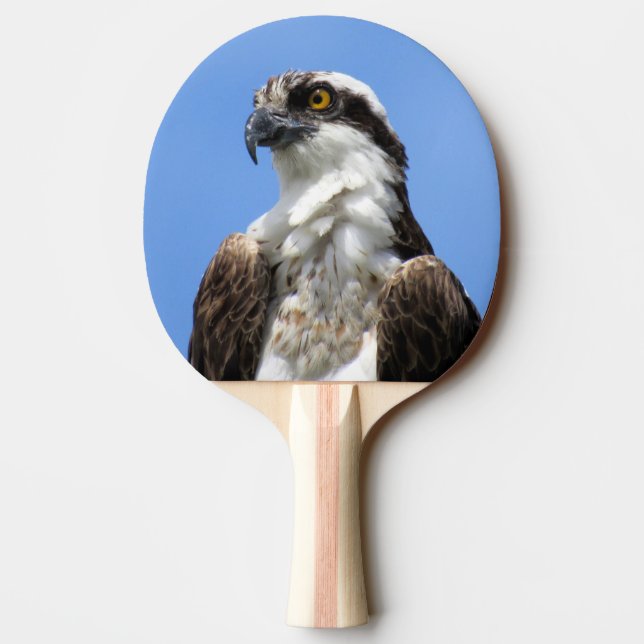 Osprey - Vogel - Ping Pong Paddle Tischtennis Schläger (Rückseite)