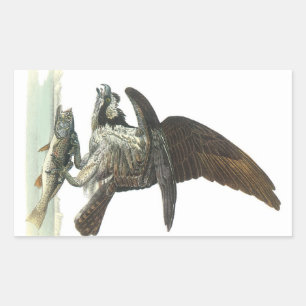 Osprey von Audubon Rechteckiger Aufkleber