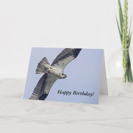Osprey während des Fluges Karte