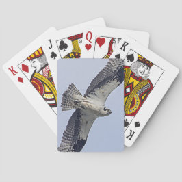 Osprey während des Fluges Spielkarten